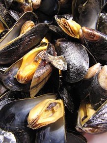 Tastets gastronòmics al Mercat del Lleó