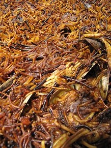 Tastets gastronòmics al Mercat del Lleó