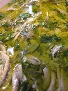 Tastets gastronòmics al Mercat del Lleó