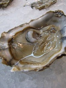 Tastets gastronòmics al Mercat del Lleó