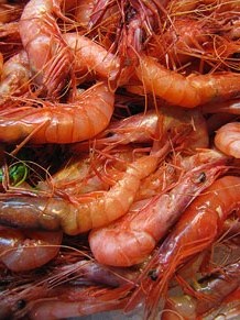 Tastets gastronòmics al Mercat del Lleó