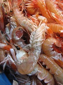 Tastets gastronòmics al Mercat del Lleó