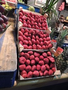 Tastets gastronòmics al Mercat del Lleó