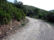 Camí a Can Lliure