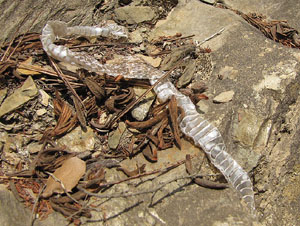 Observacions de la natura a la ruta del castell de Sant Miquel
