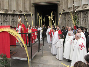 Diumenge de Rams. Benedicció de les palmes
