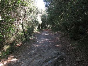 Miscel&middot;l&agrave;nia de l'itinerari