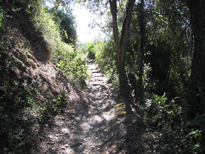 Miscel&middot;l&agrave;nia de l'itinerari