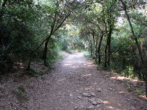 Miscel&middot;l&agrave;nia de l'itinerari