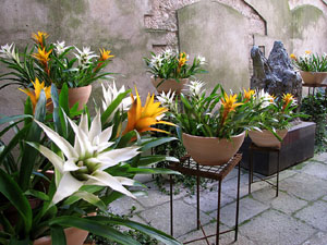 Museu d'Hist&ograve;ria de la Ciutat