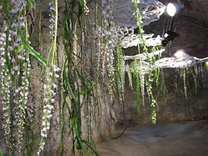 Museu d'Hist&ograve;ria de la Ciutat