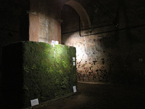 Museu d'Hist&ograve;ria de la Ciutat