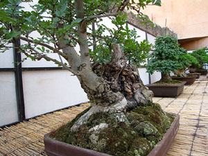 Museu d'Hist&ograve;ria de la Ciutat