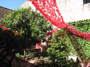 Jardí del Museu d'Art