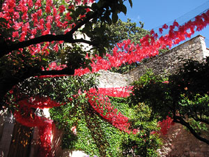 Jardí del Museu d'Art