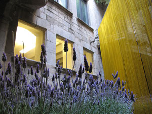 El carrer de la Força