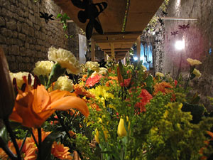 Torre Gironella i Jardins dels Alemanys