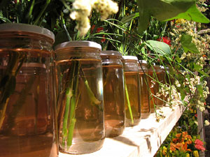 Torre Gironella i Jardins dels Alemanys