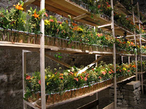 Torre Gironella i Jardins dels Alemanys