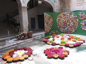 El carrer dels Ciutadans