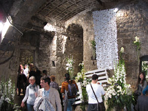 Les Sarraïnes