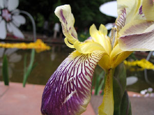 Els Jardins del Dr. Figueras