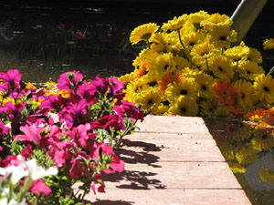 Els Jardins del Dr. Figueras