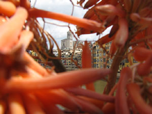 El Pont de les Peixateries Velles