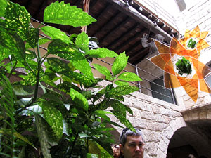 Casa de Lleó Avinay