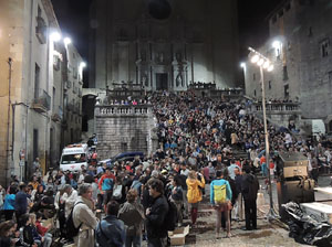 Marxa de Torxes 2013