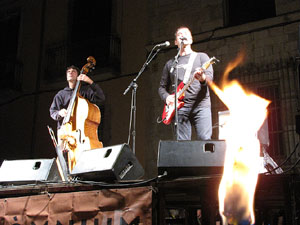 Marxa de Torxes 2013