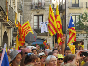 Diada Nacional 2014. Sardanes i concentraci&oacute; a la pla&ccedil;a del Vi