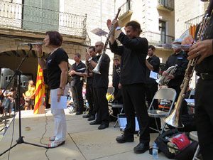 Diada Nacional 2014. Sardanes i concentraci&oacute; a la pla&ccedil;a del Vi