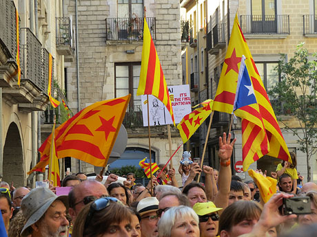 Diada Nacional 2014. Sardanes i concentraci&oacute; a la pla&ccedil;a del Vi