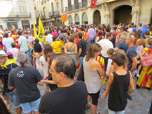 Diada Nacional 2014. Sardanes i concentraci&oacute; a la pla&ccedil;a del Vi