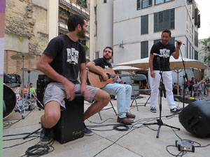 Girona, ciutat de festivals. Festival de Guitarra 2014