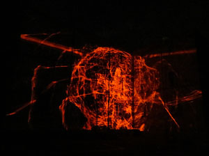 Girona, ciutat de festivals. Festival Internacional de Mapping, FIMG. Fa&ccedil;ana de la  Casa Pastors