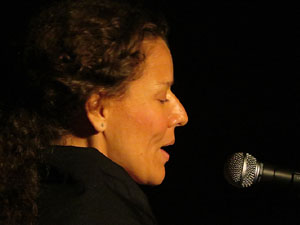 Girona, ciutat de festivals. Festival Internacional de Mapping, FIMG. Fa&ccedil;ana de la  Casa Pastors