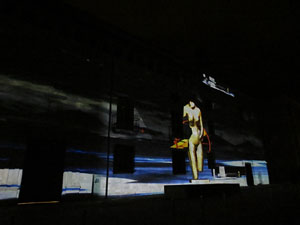 Girona, ciutat de festivals. Festival Internacional de Mapping, FIMG. Sessi&oacute; inaugural