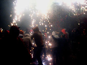 Fires de Sant Narc&iacute;s 2013. El correfoc. 25 anys dels Diables de l'Onyar