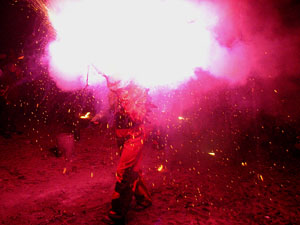 Fires de Sant Narc&iacute;s 2013. El correfoc. 25 anys dels Diables de l'Onyar