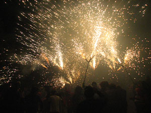 Fires de Sant Narc&iacute;s 2013. El correfoc. 25 anys dels Diables de l'Onyar