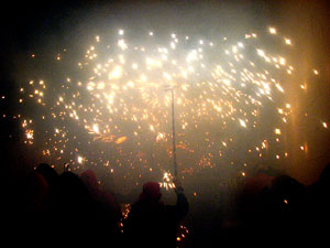 Fires de Sant Narc&iacute;s 2013. El correfoc. 25 anys dels Diables de l'Onyar