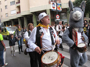 Fires de Sant Narcís 2013. Trobada de gegants: la cercavila