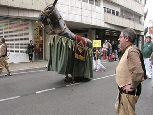 Fires de Sant Narcís 2013. Trobada de gegants: la cercavila