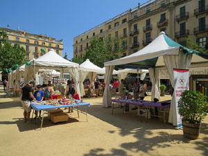 Girona, ciutat de festivals. Ludivers 2014