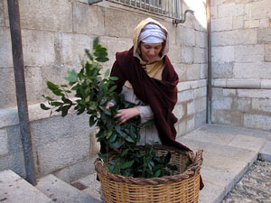 Exposici&oacute; La Girona Medieval al Museu d'Hist&ograve;ria de la Ciutat. 