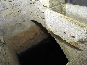 Micv&eacute;, bany ritual jueu de Girona