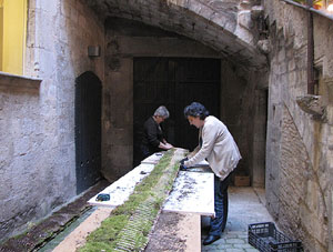 Girona Temps de Flors 2014. Preparació dels muntatges florals