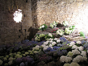 Girona Temps de Flors 2014. Preparació dels muntatges florals